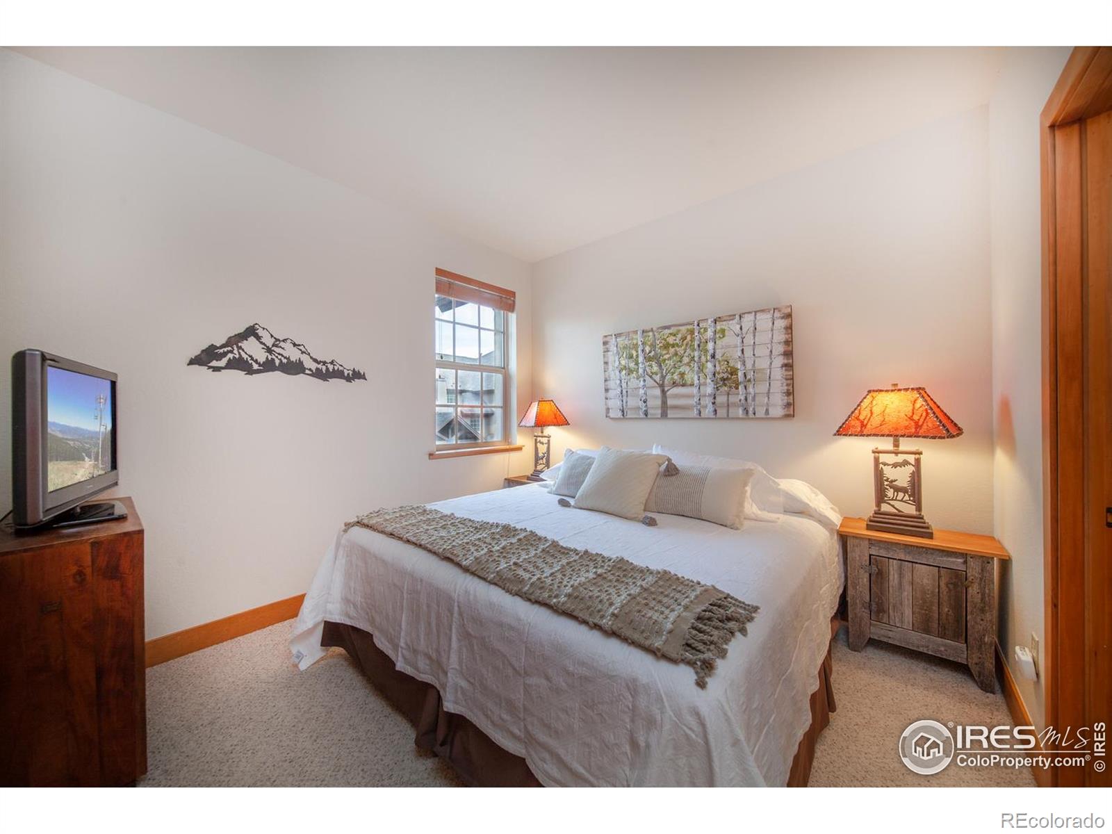 MLS Image #22 for 701  red quill way,winter park, Colorado