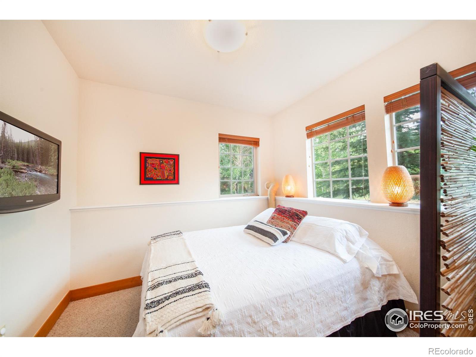 MLS Image #25 for 701  red quill way,winter park, Colorado