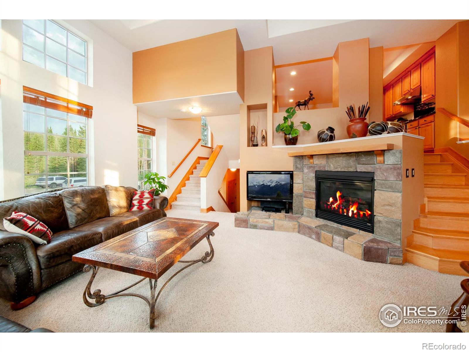 MLS Image #3 for 701  red quill way,winter park, Colorado