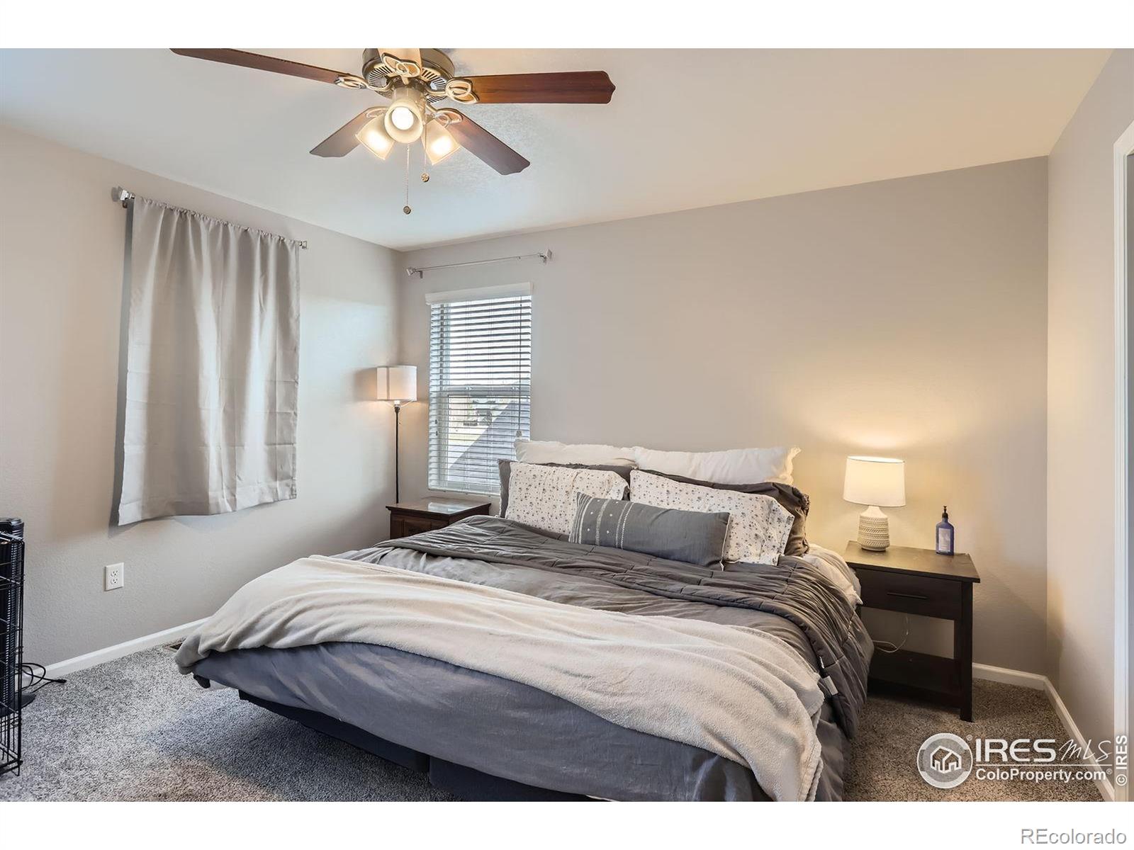 MLS Image #11 for 357  chipman drive,windsor, Colorado