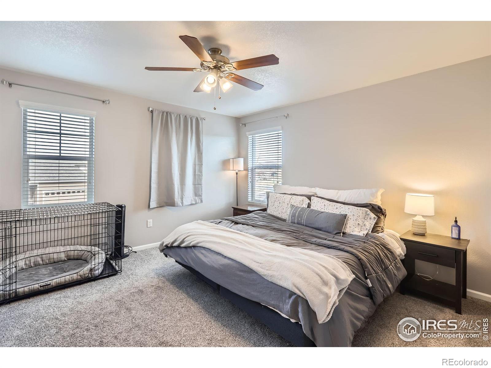 MLS Image #12 for 357  chipman drive,windsor, Colorado