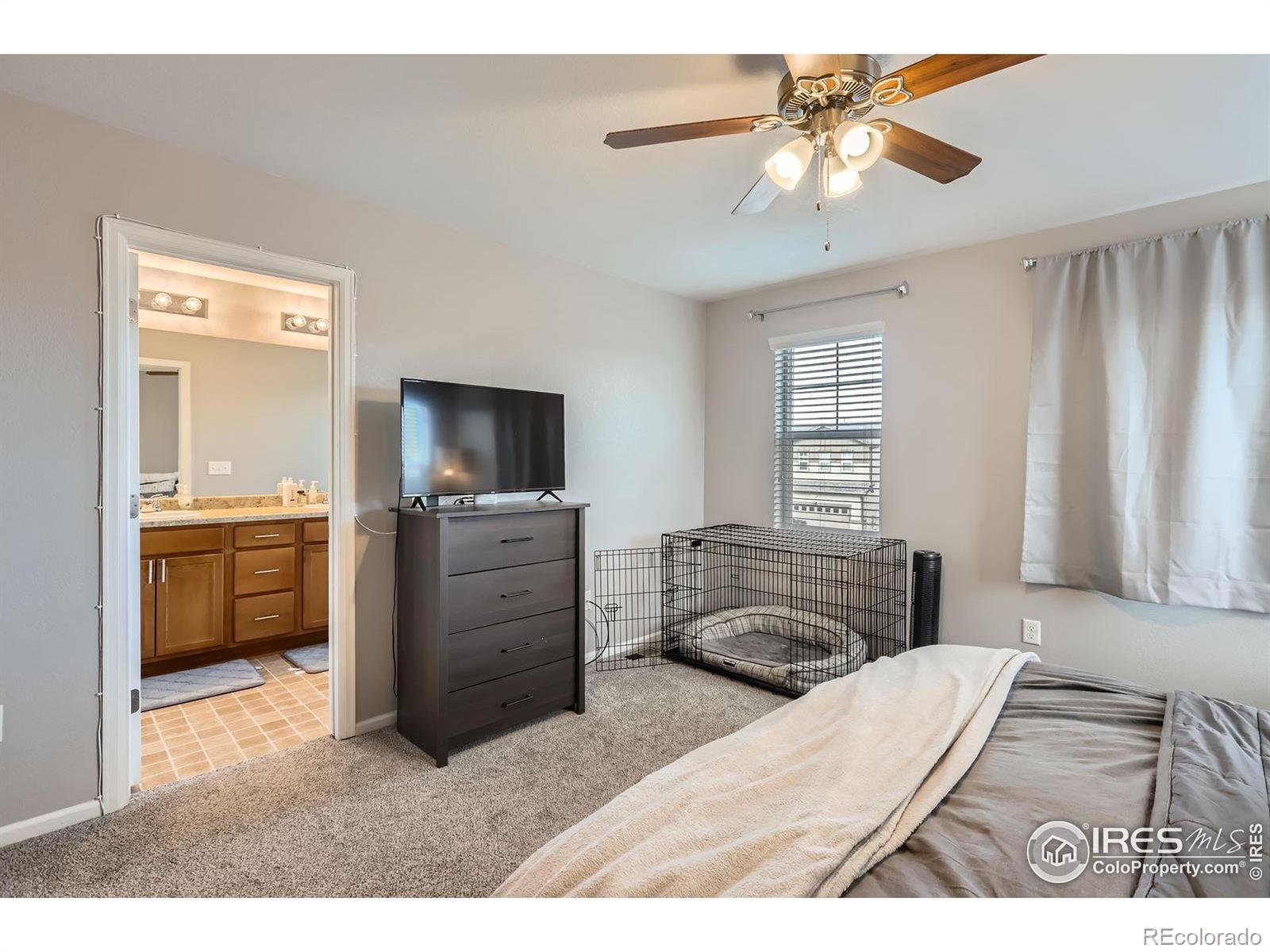 MLS Image #13 for 357  chipman drive,windsor, Colorado