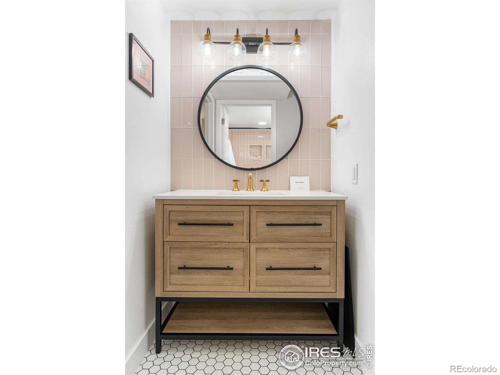 MLS Image #10 for 540 s forest street,denver, Colorado