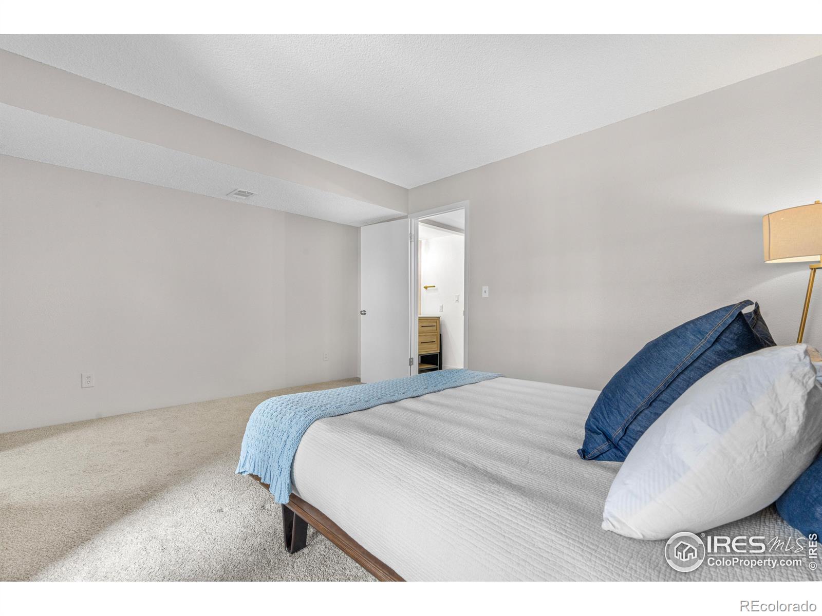MLS Image #13 for 540 s forest street,denver, Colorado