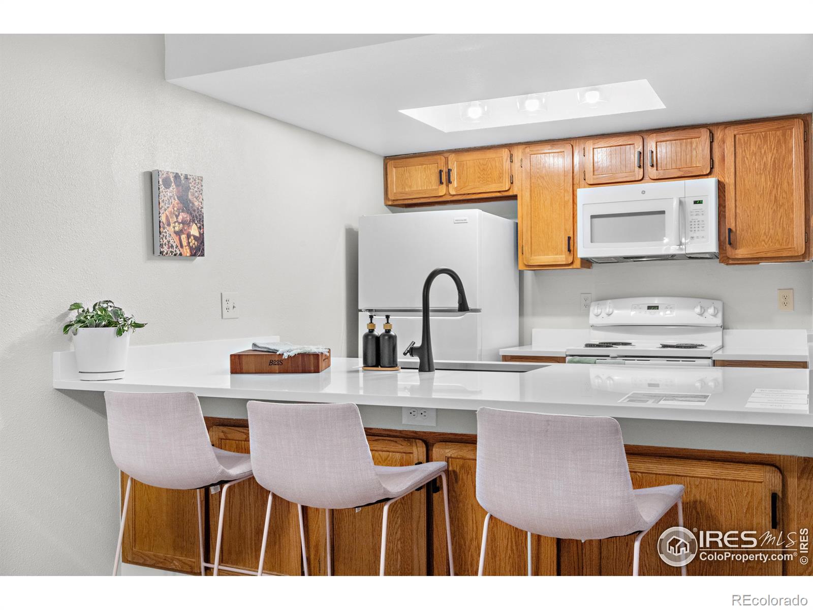 MLS Image #4 for 540 s forest street,denver, Colorado