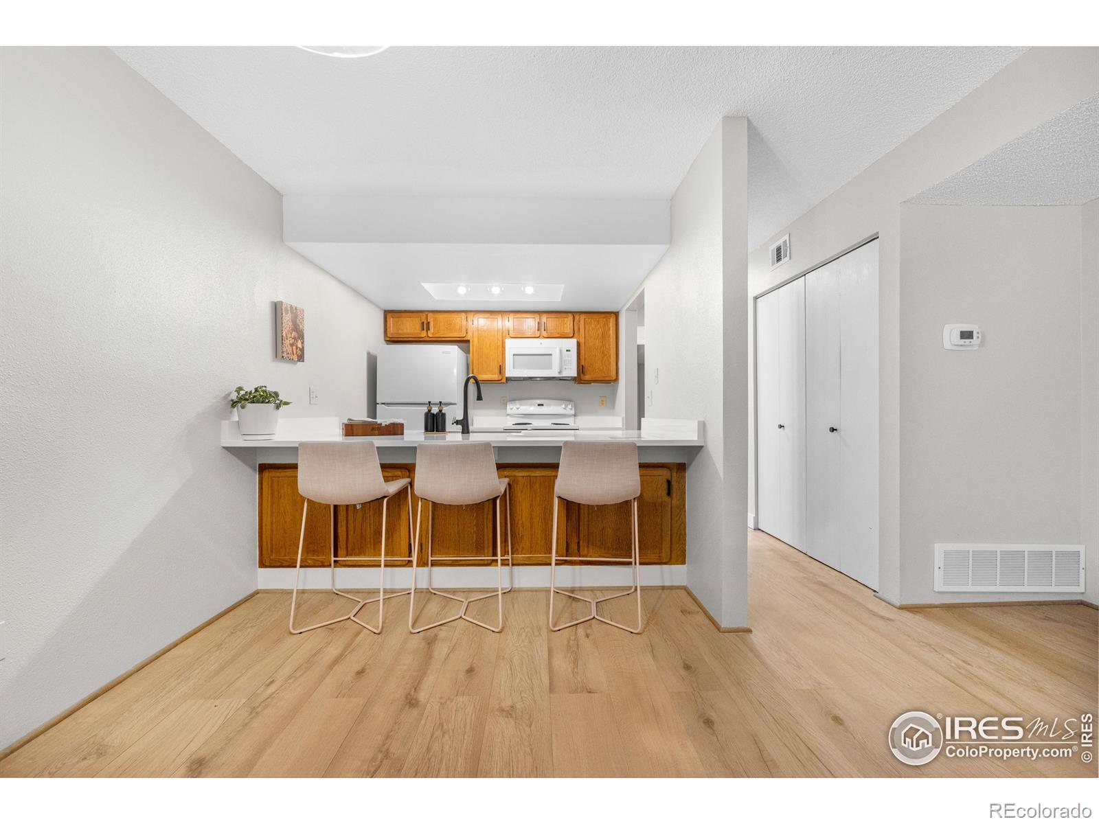 MLS Image #7 for 540 s forest street,denver, Colorado