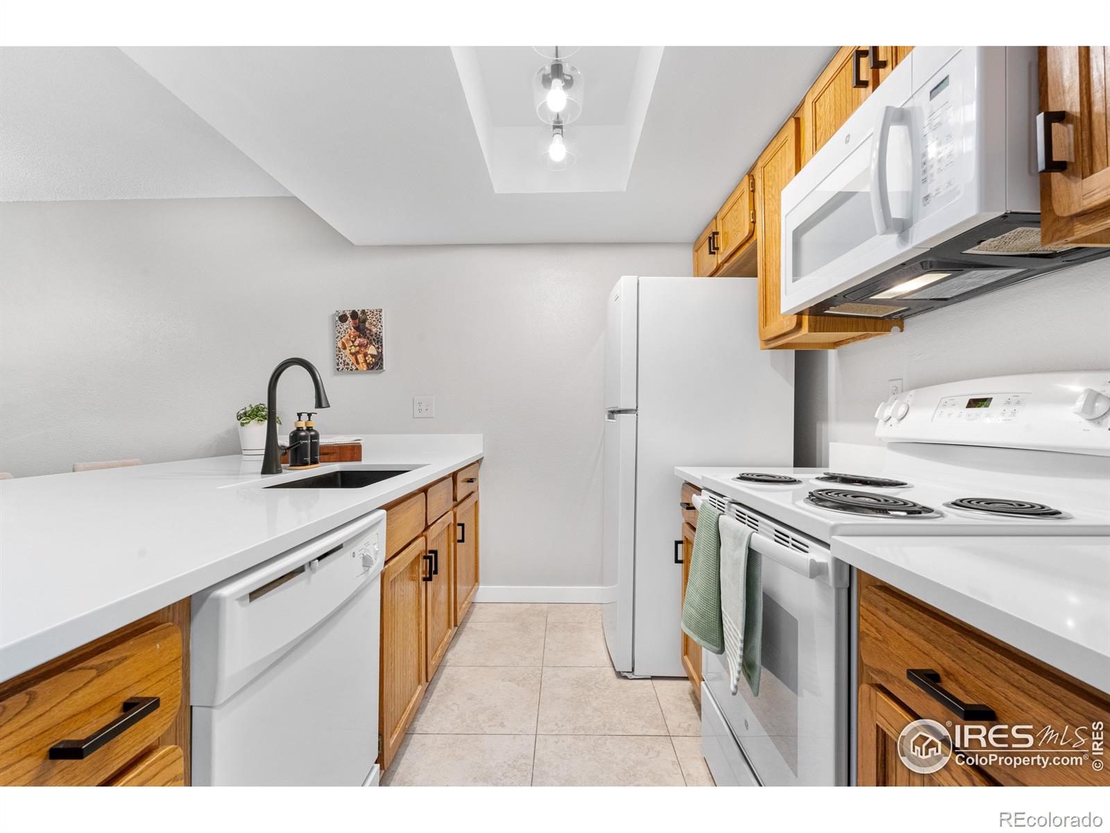 MLS Image #8 for 540 s forest street,denver, Colorado