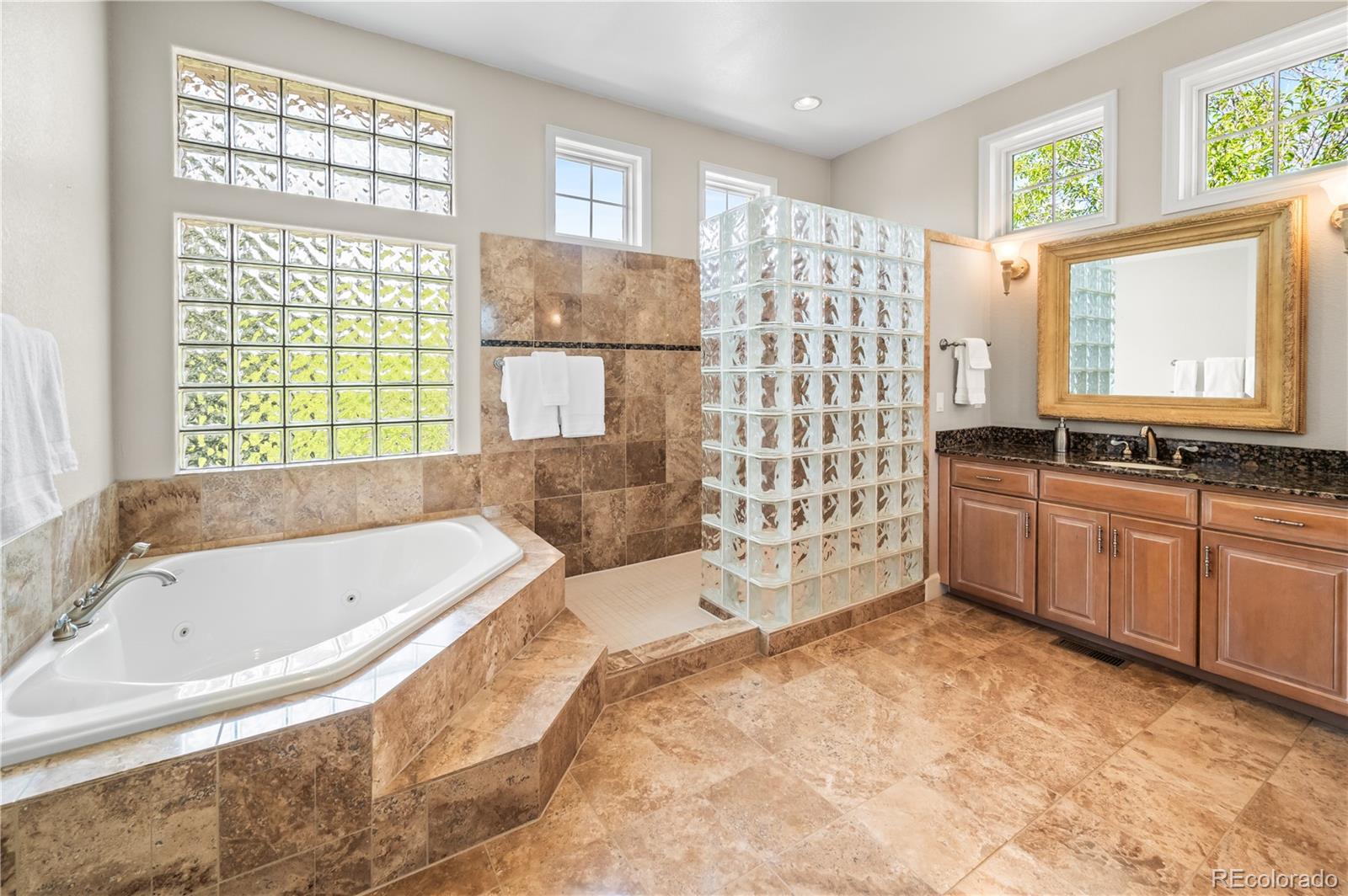 MLS Image #20 for 3  white pelican circle,thornton, Colorado