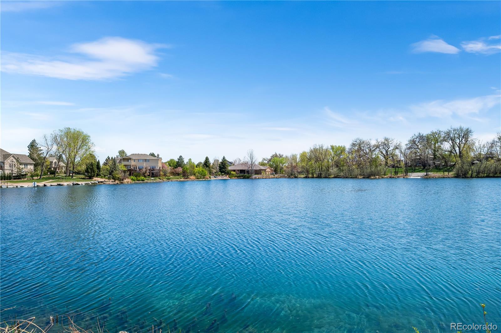 MLS Image #38 for 3  white pelican circle,thornton, Colorado