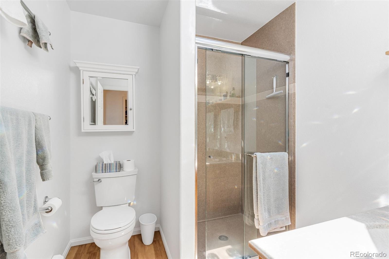 MLS Image #22 for 1041  rockafellow court,canon city, Colorado