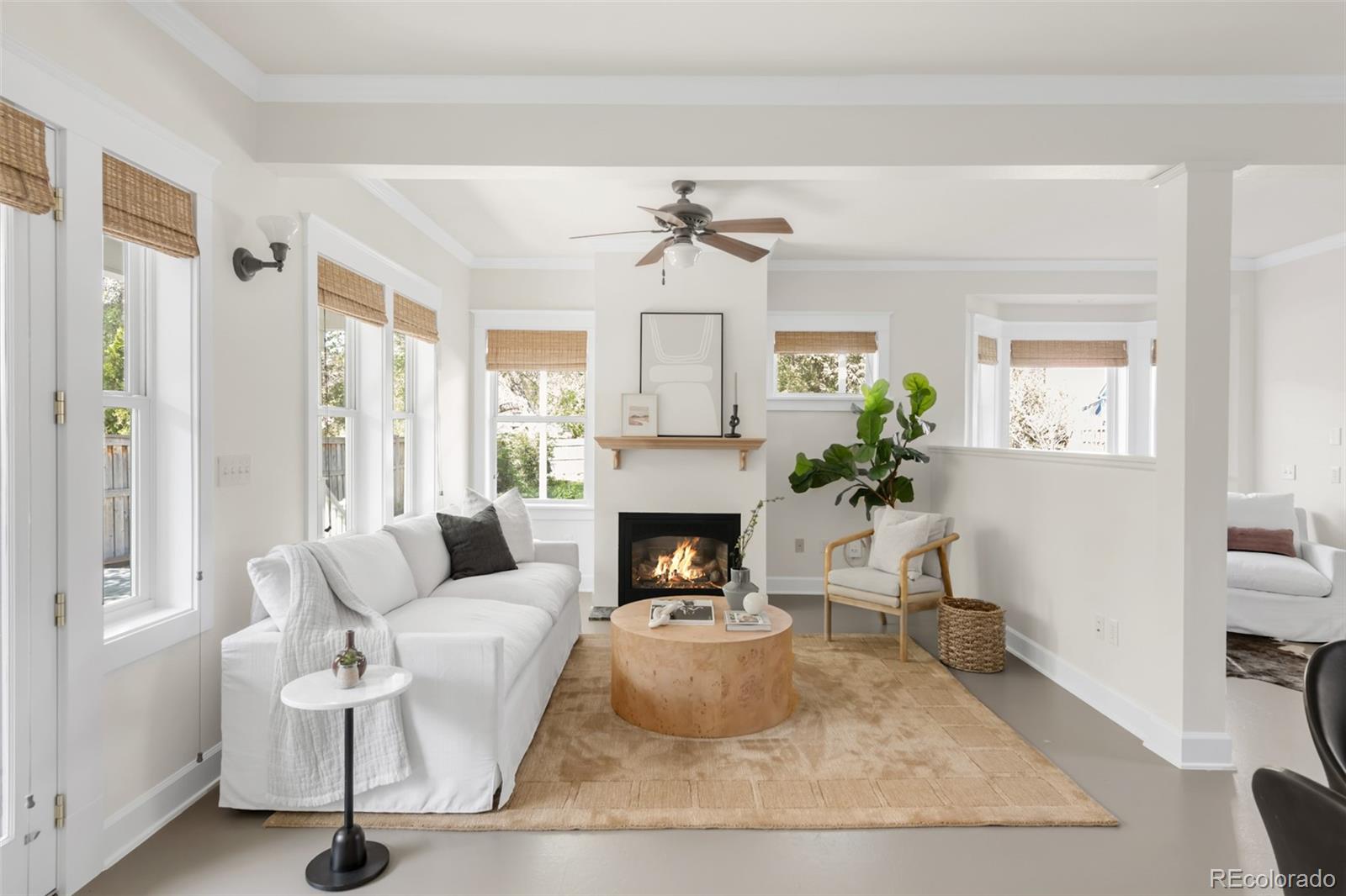 MLS Image #14 for 539  baker street,longmont, Colorado