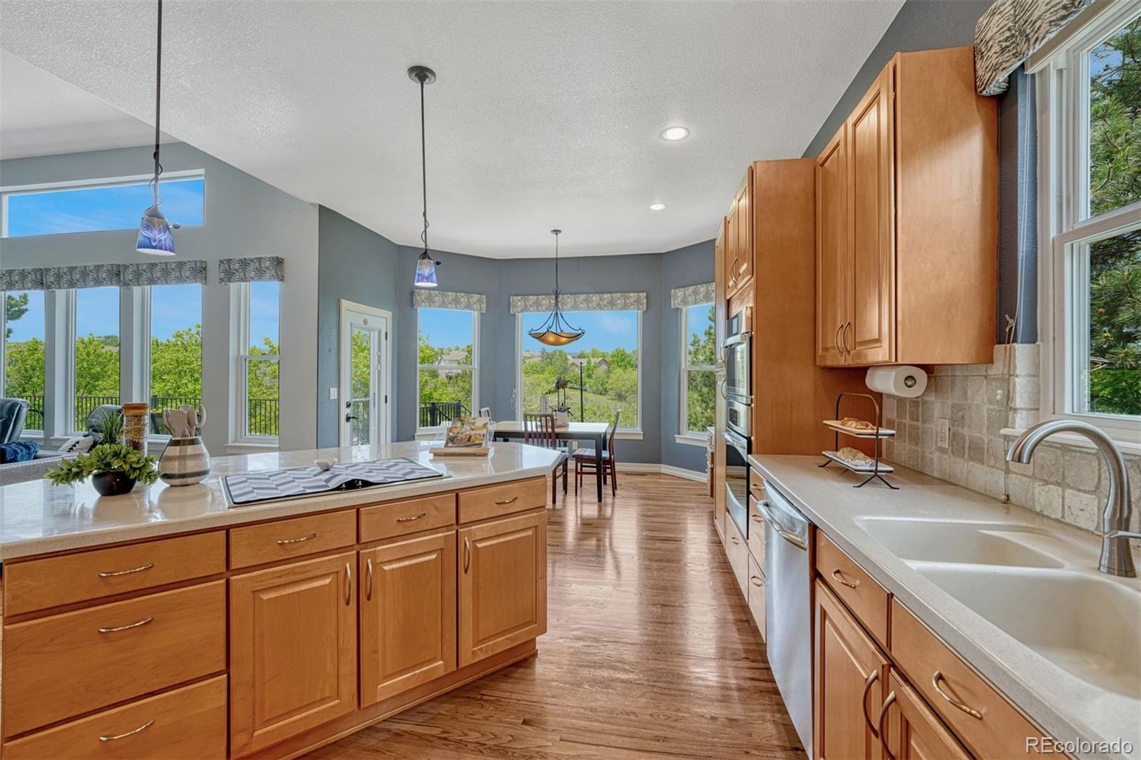 MLS Image #19 for 581  stonemont drive,castle pines, Colorado