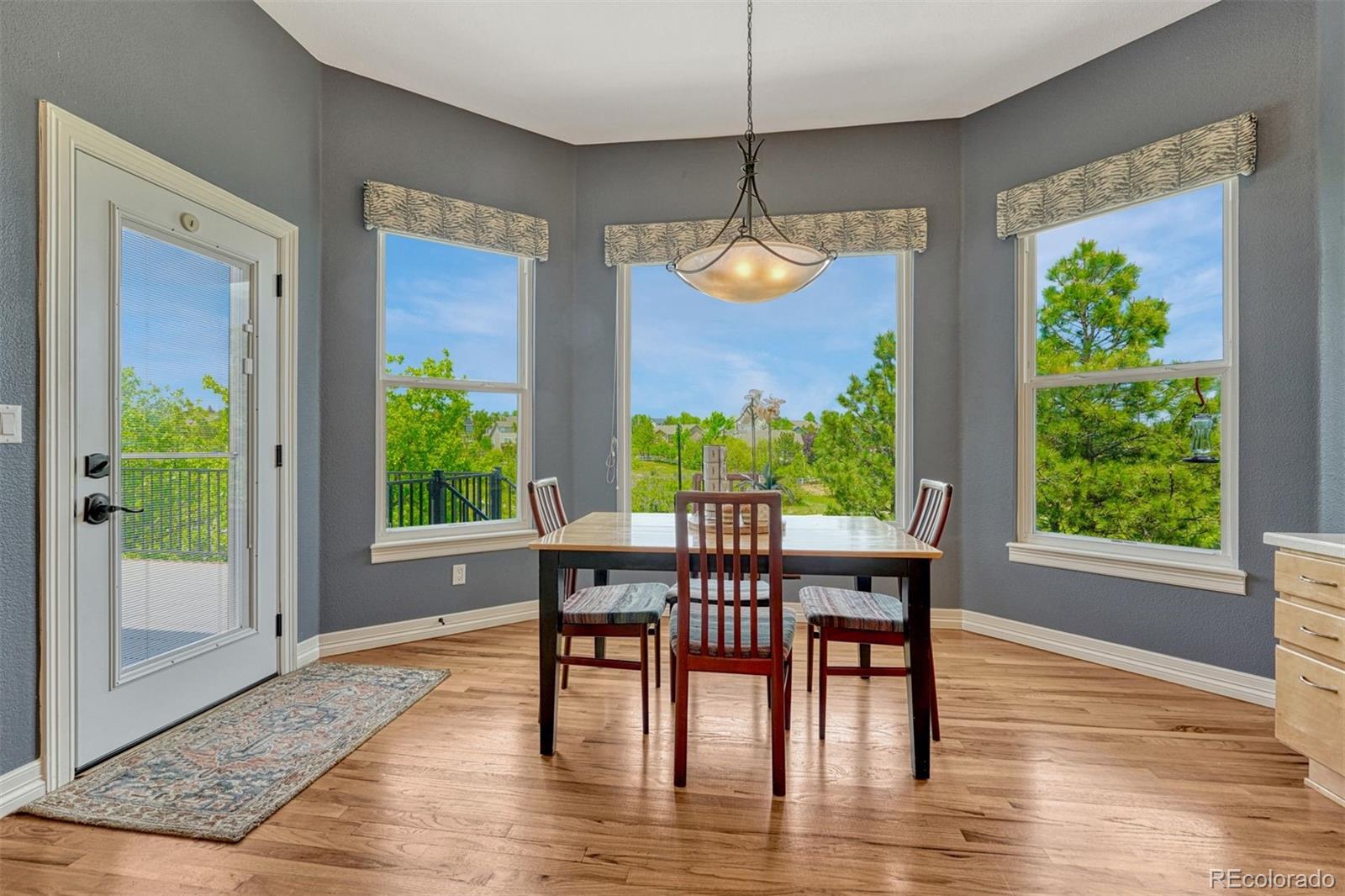 MLS Image #20 for 581  stonemont drive,castle pines, Colorado