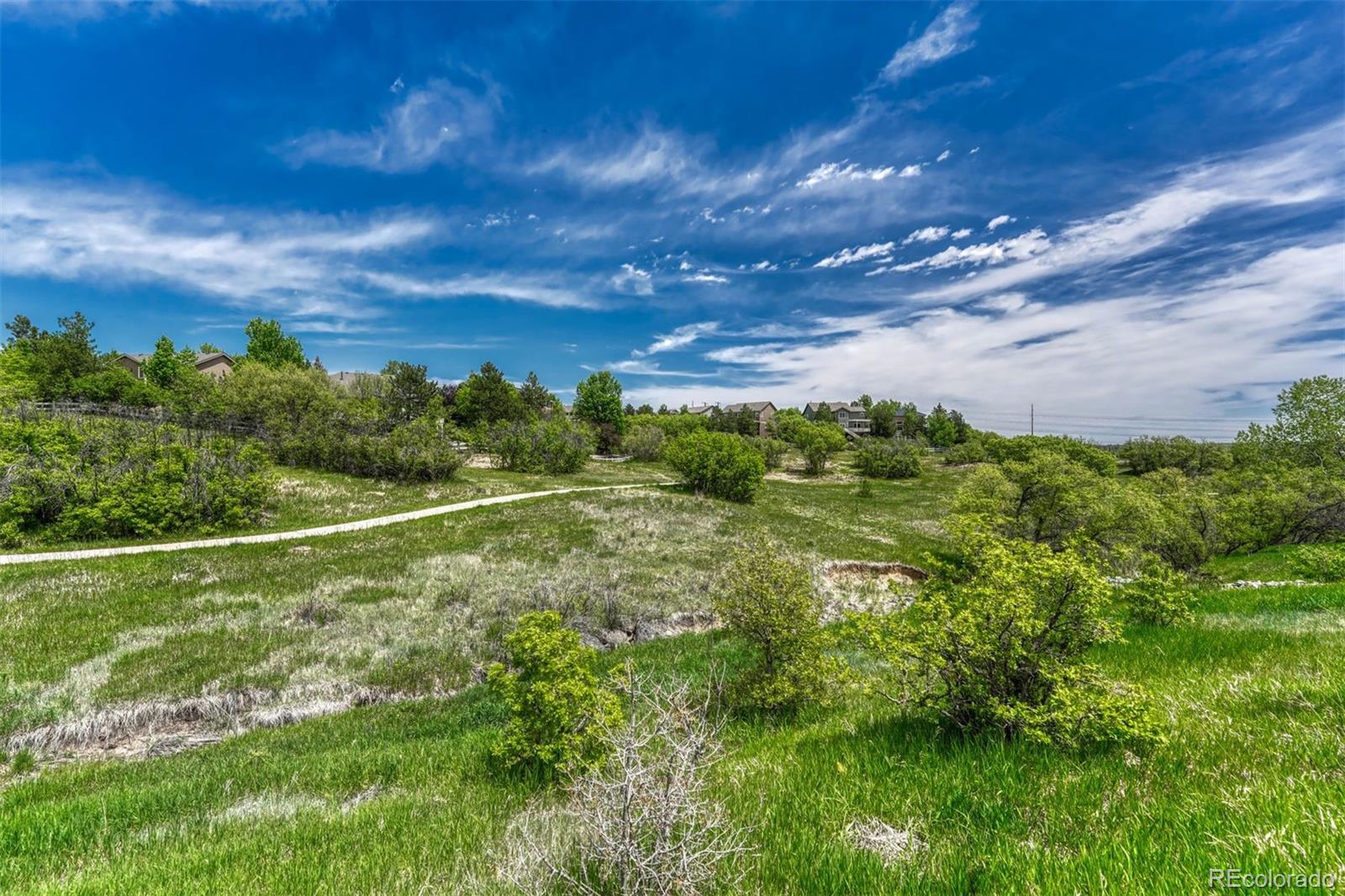 MLS Image #48 for 581  stonemont drive,castle pines, Colorado