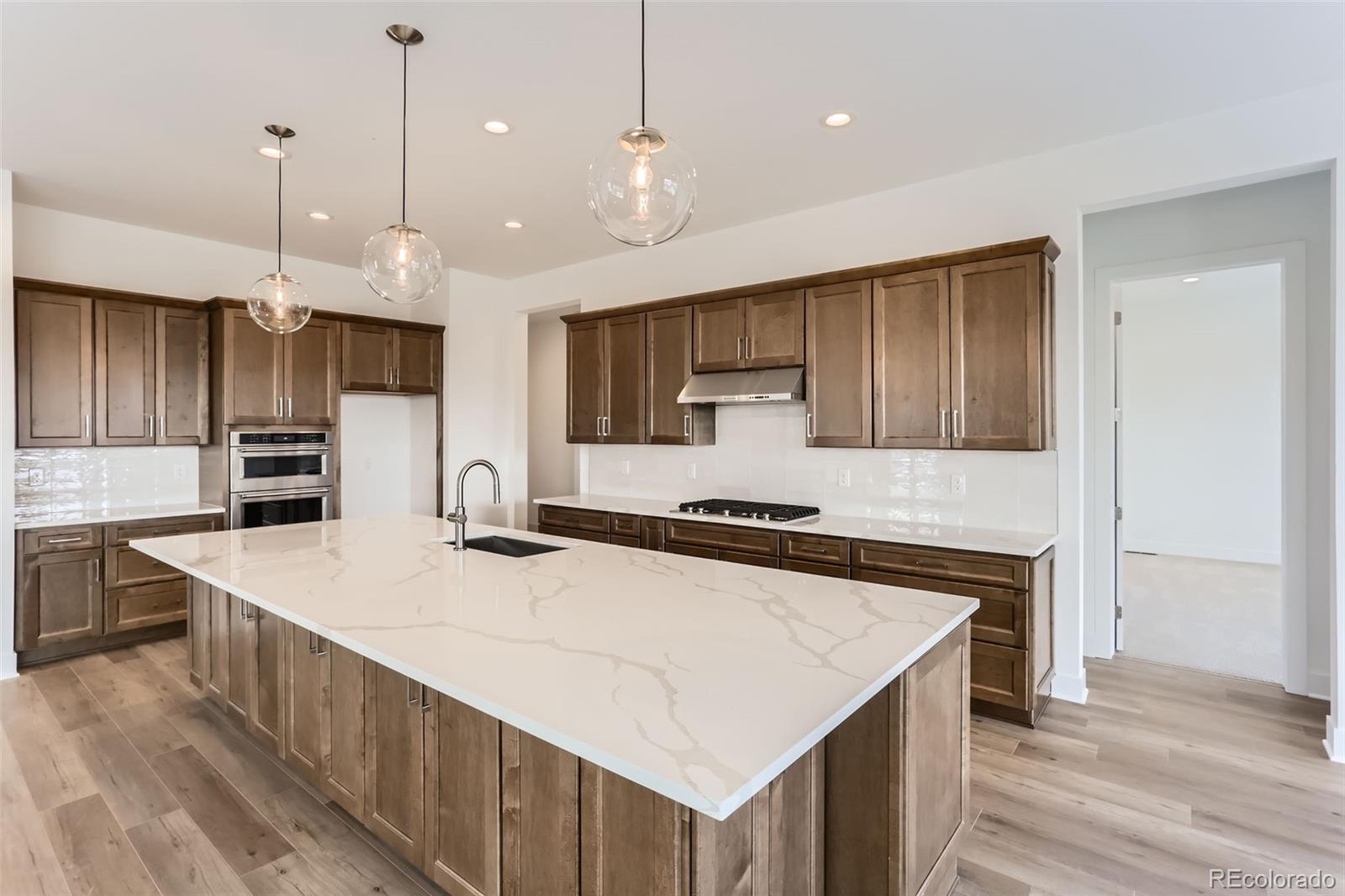 MLS Image #9 for 483  agoseris way,castle rock, Colorado