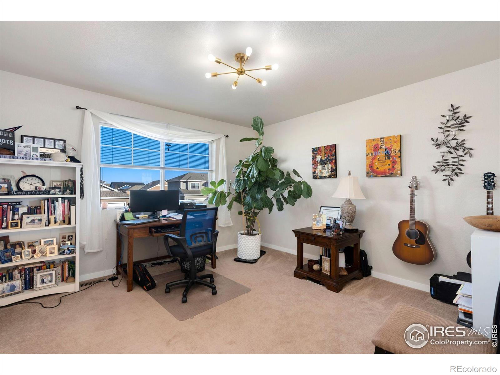 MLS Image #18 for 3803  peach street,wellington, Colorado