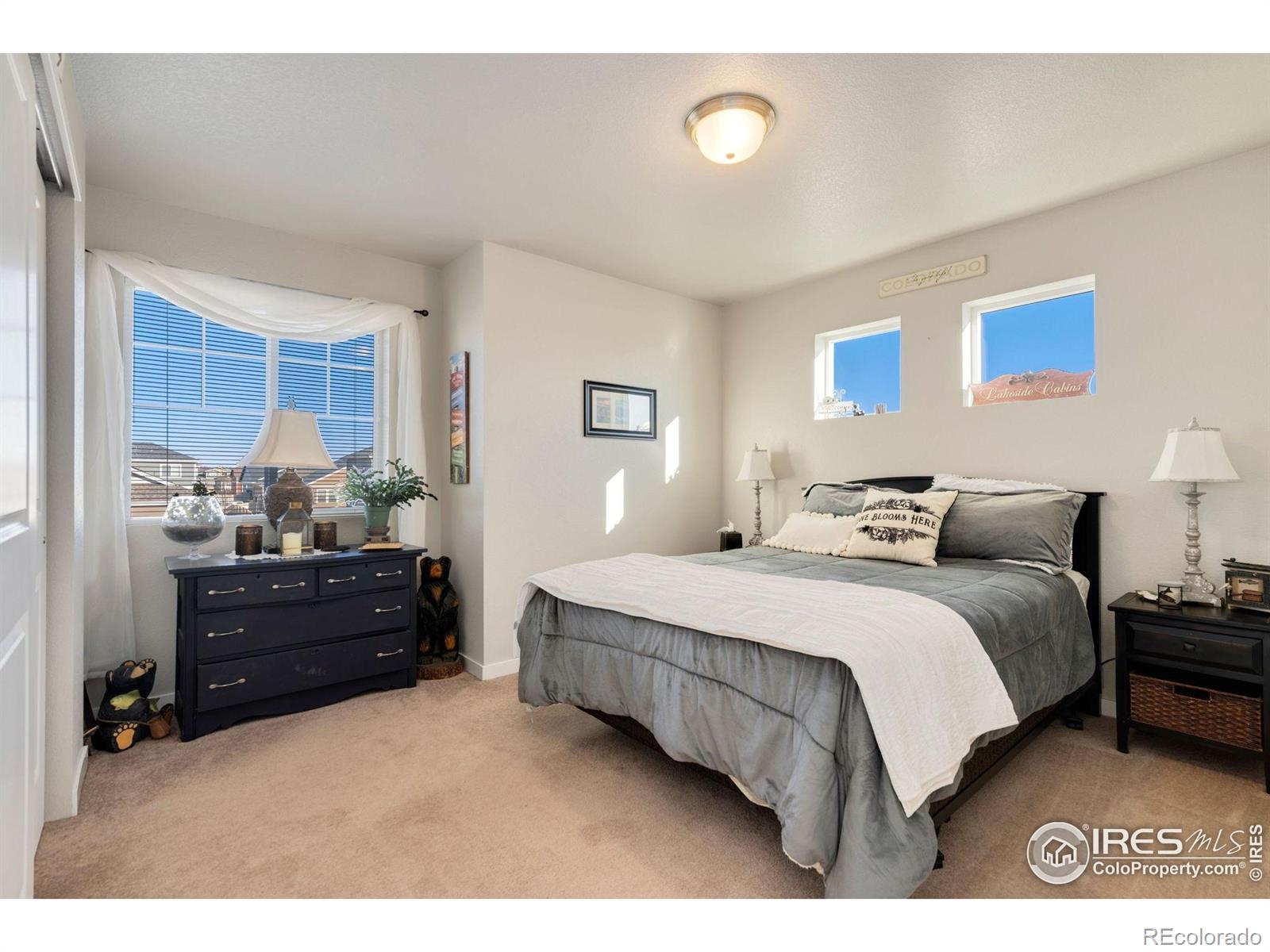 MLS Image #23 for 3803  peach street,wellington, Colorado