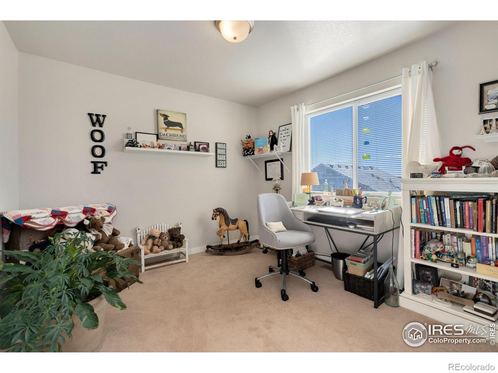 MLS Image #25 for 3803  peach street,wellington, Colorado