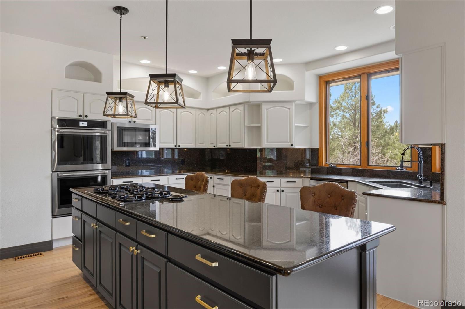 MLS Image #11 for 858  swandyke drive,castle rock, Colorado