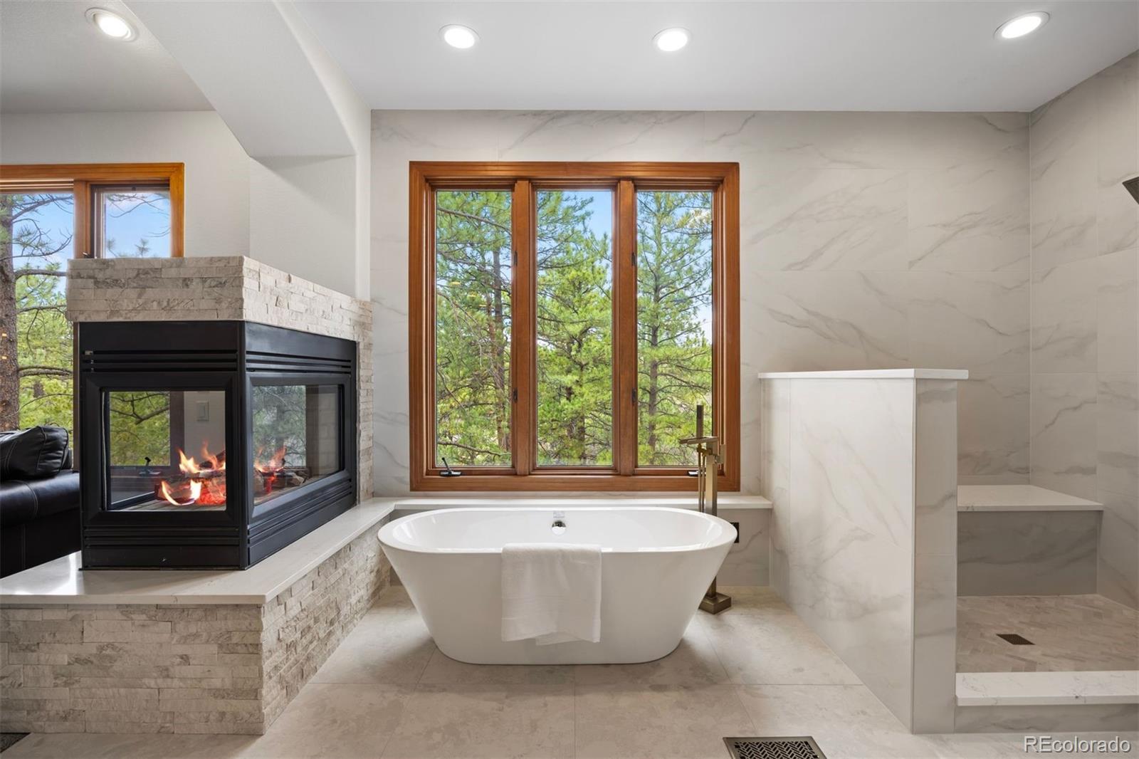 MLS Image #17 for 858  swandyke drive,castle rock, Colorado