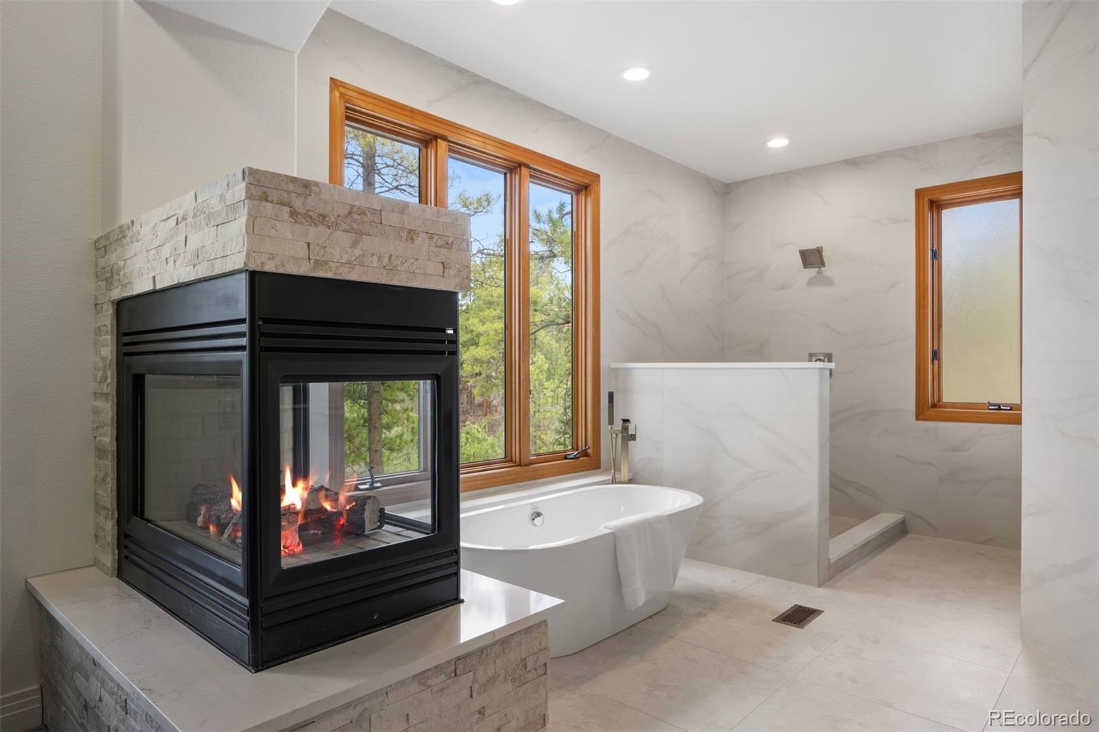 MLS Image #19 for 858  swandyke drive,castle rock, Colorado