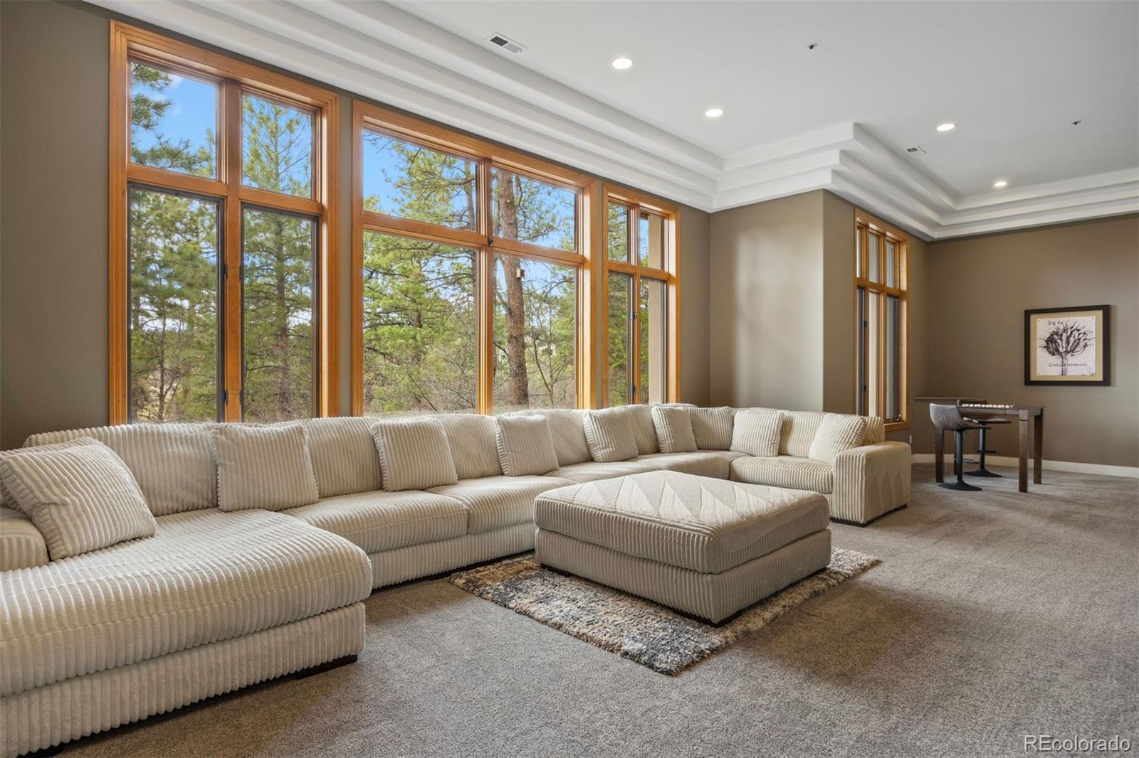 MLS Image #27 for 858  swandyke drive,castle rock, Colorado