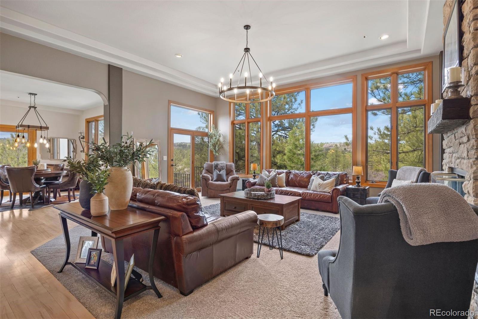 MLS Image #5 for 858  swandyke drive,castle rock, Colorado