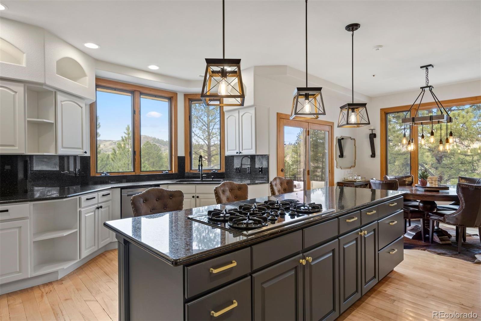 MLS Image #9 for 858  swandyke drive,castle rock, Colorado
