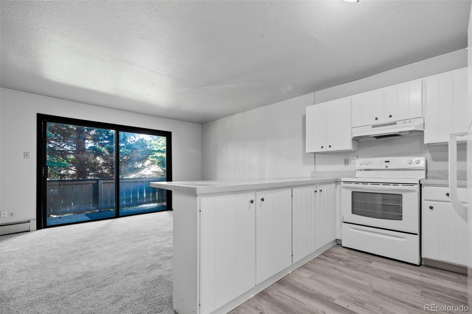 MLS Image #0 for 1143  straight creek drive,dillon, Colorado