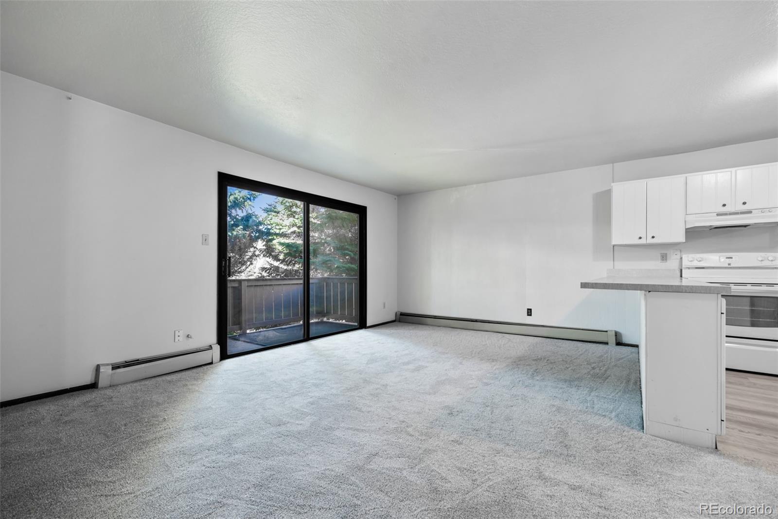MLS Image #1 for 1143  straight creek drive,dillon, Colorado