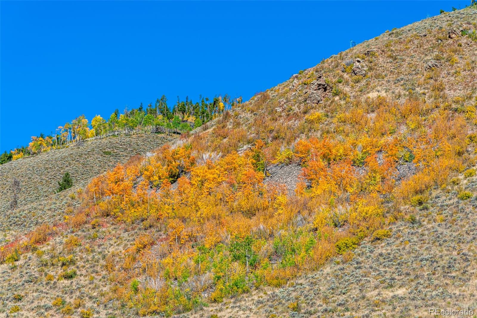 MLS Image #30 for 1143  straight creek drive,dillon, Colorado