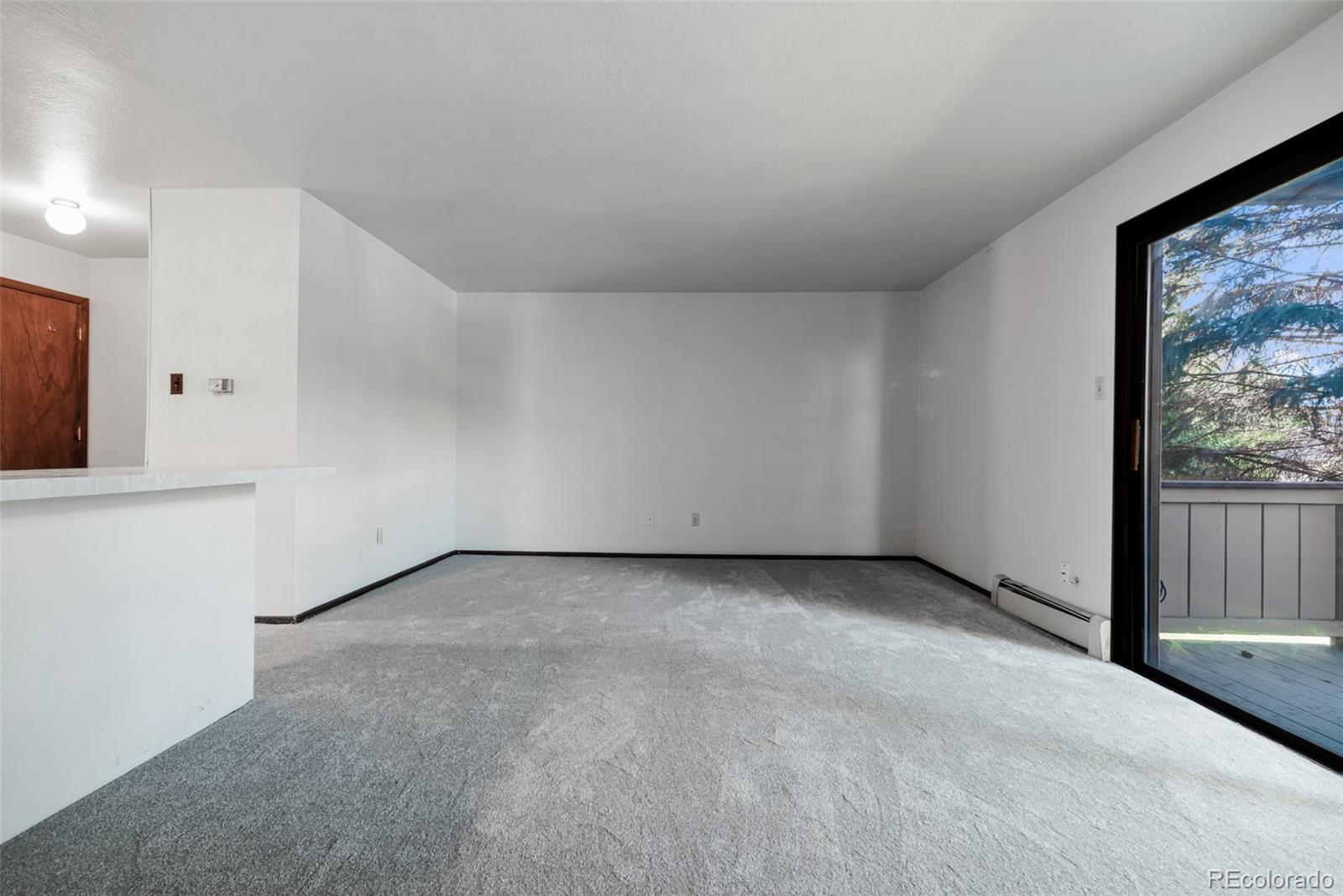 MLS Image #37 for 1143  straight creek drive,dillon, Colorado