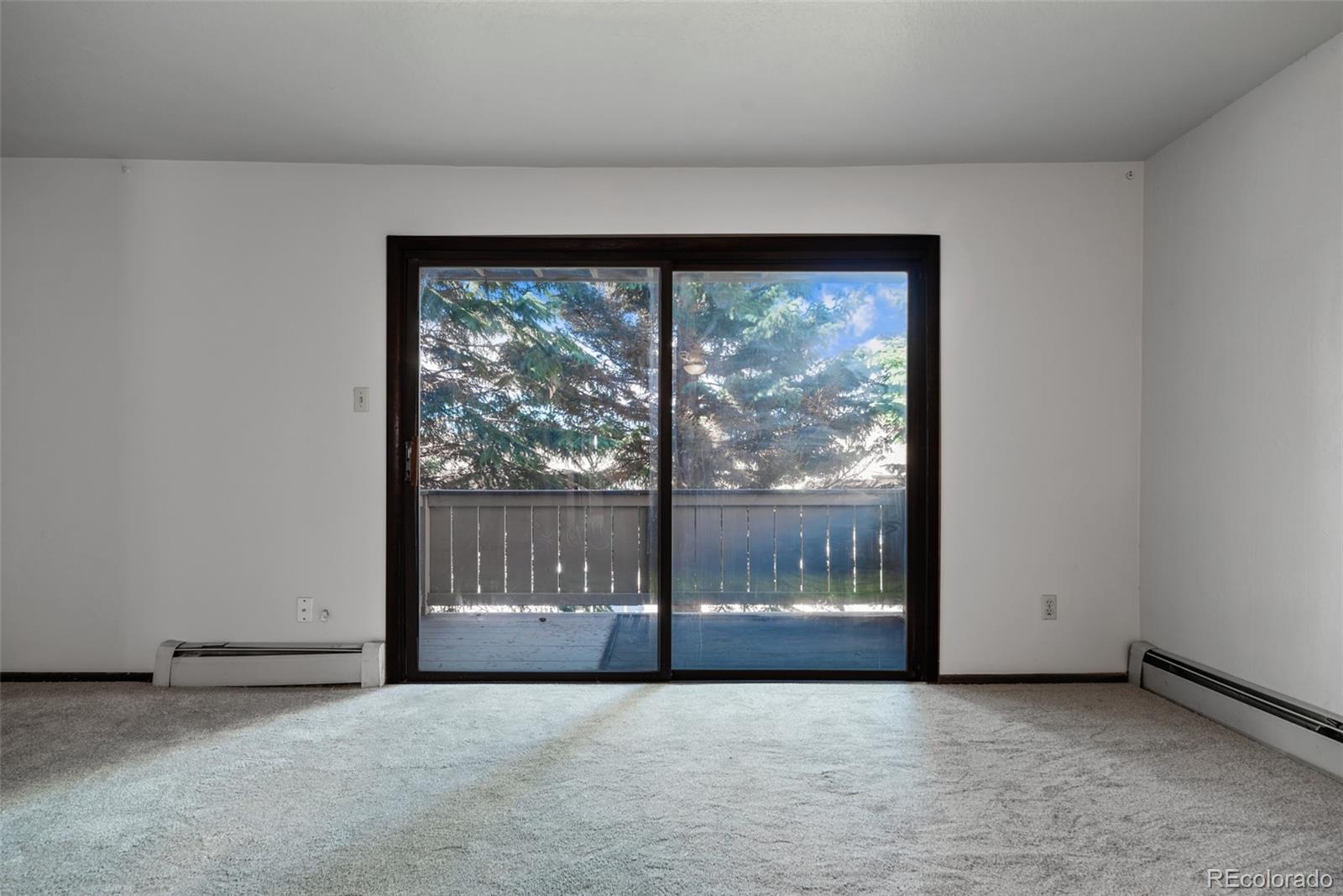 MLS Image #41 for 1143  straight creek drive,dillon, Colorado