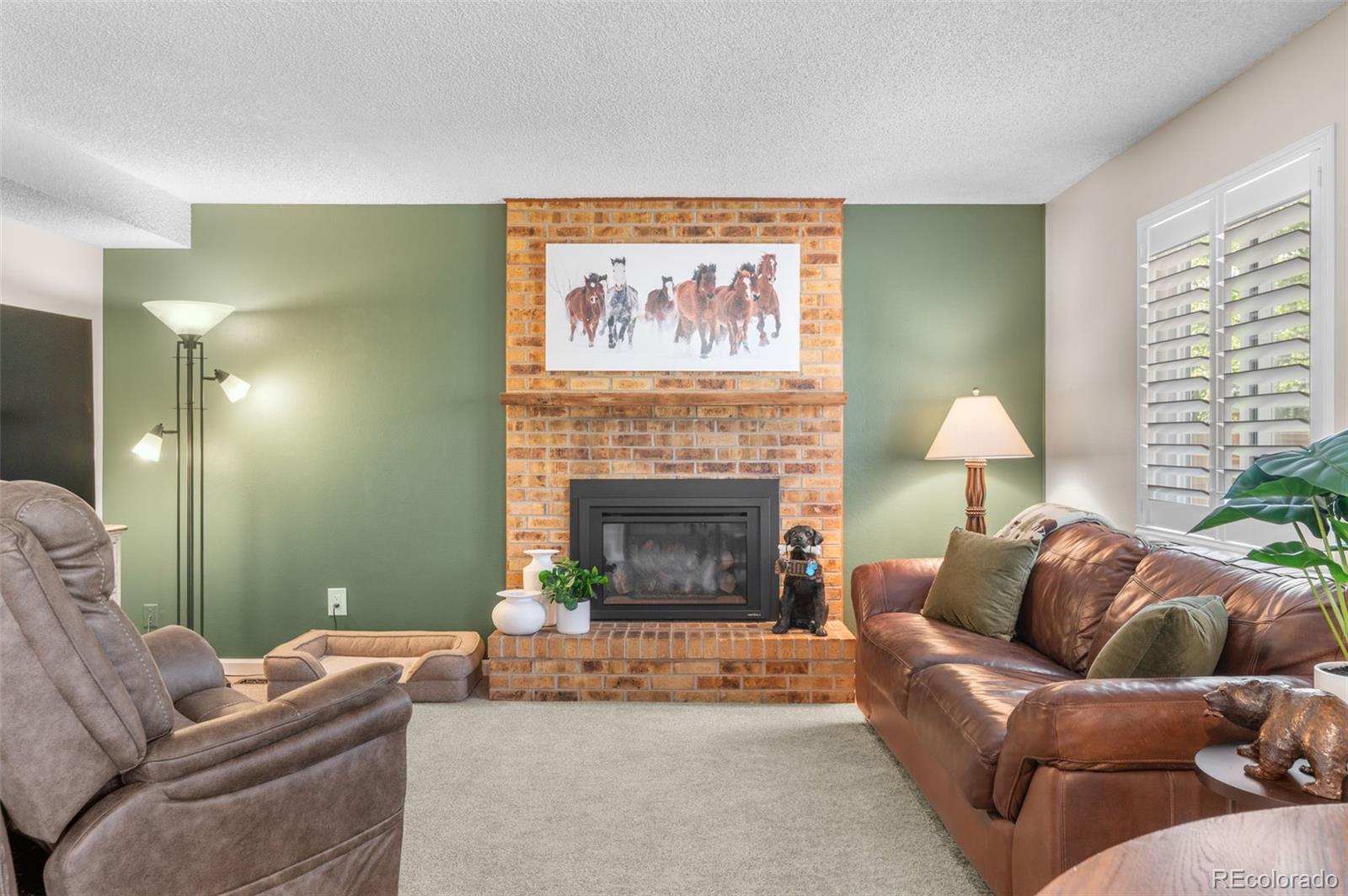 MLS Image #15 for 11076  cotton creek drive,westminster, Colorado