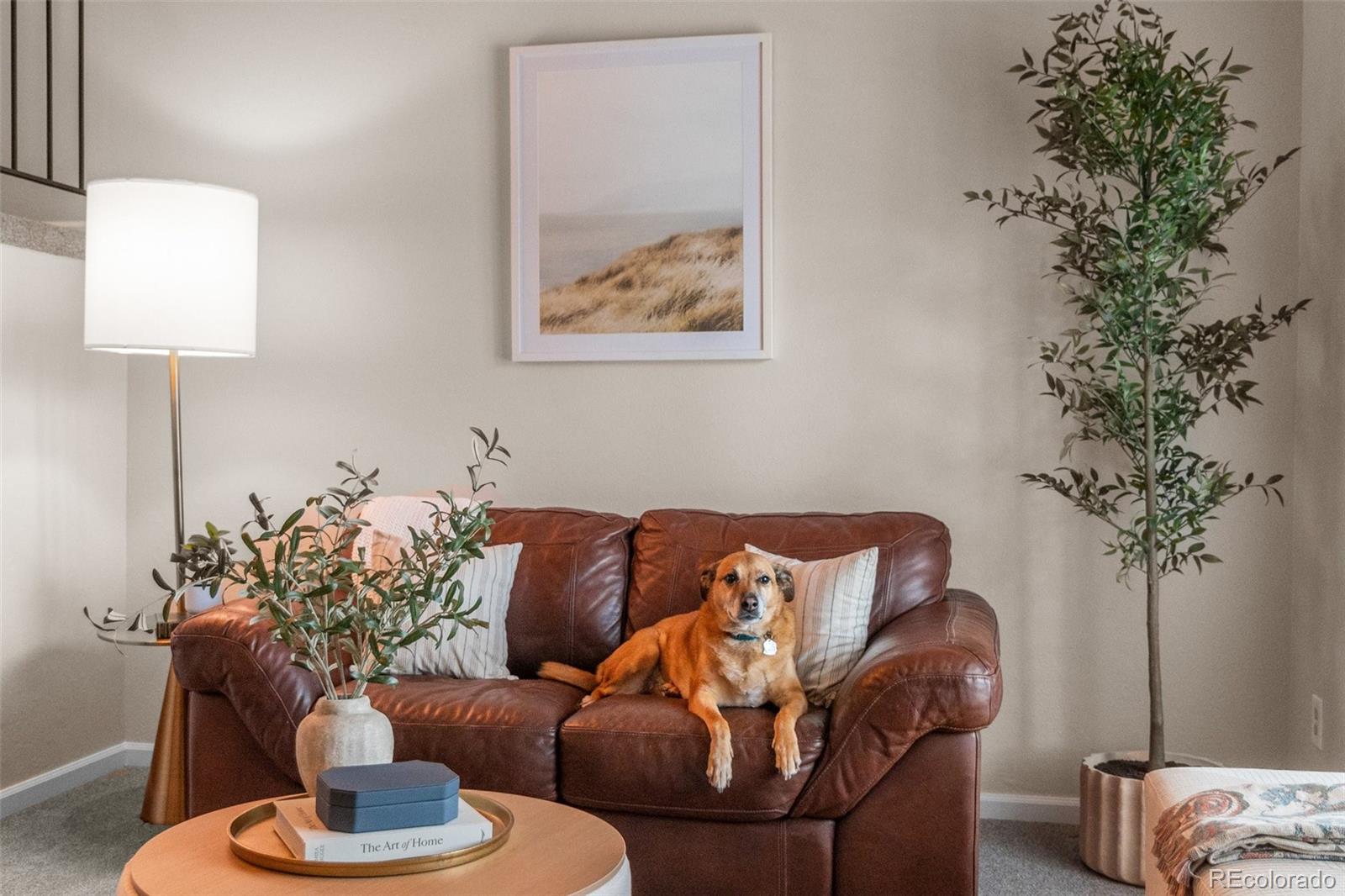 MLS Image #6 for 11076  cotton creek drive,westminster, Colorado
