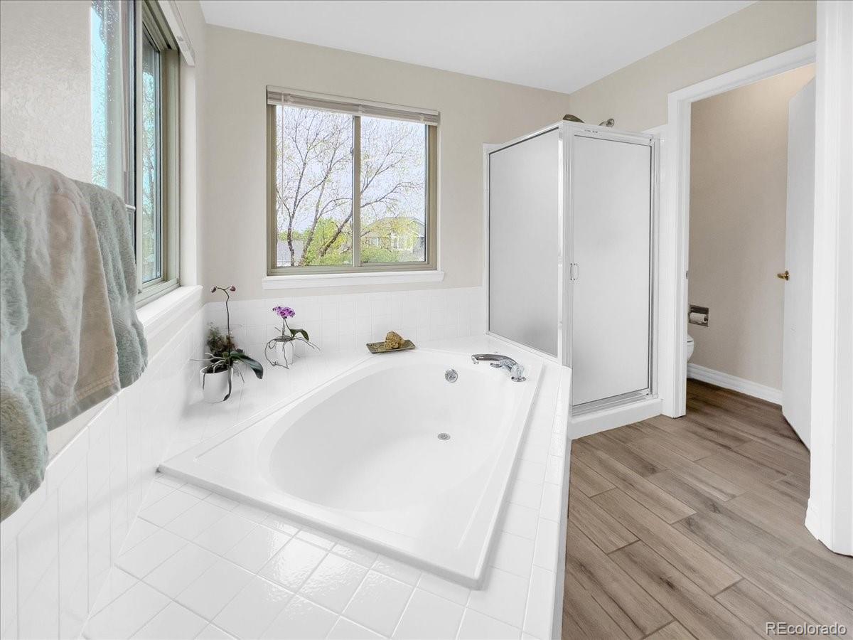 MLS Image #31 for 6002  alkire court,arvada, Colorado