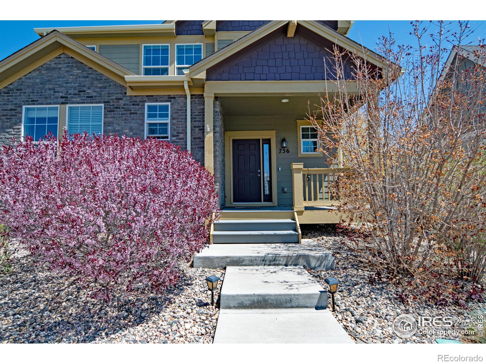 MLS Image #1 for 756  three forks drive,fort collins, Colorado