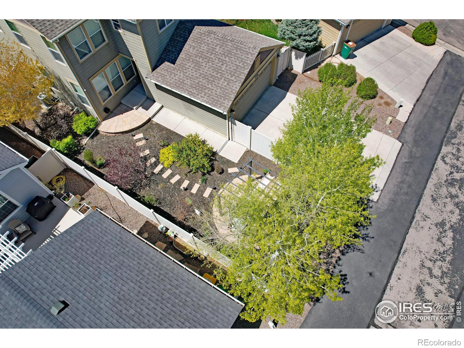 MLS Image #5 for 756  three forks drive,fort collins, Colorado