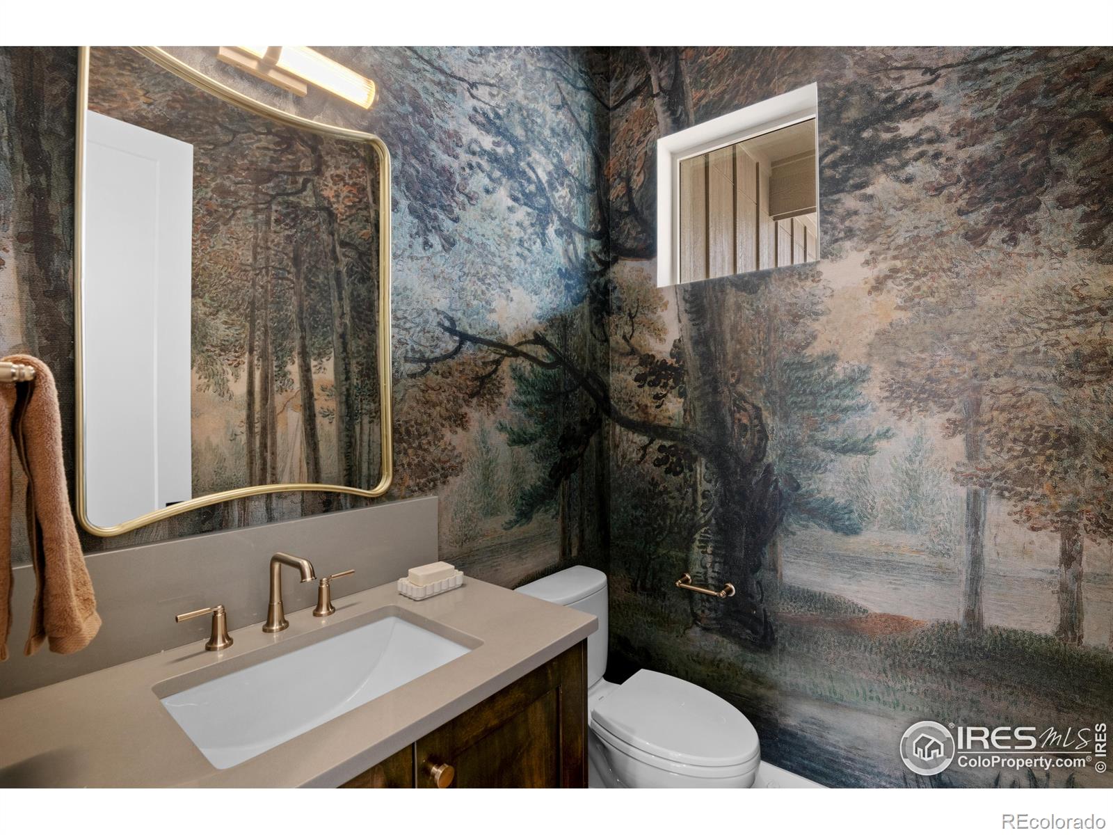 MLS Image #12 for 144  boxwood drive,windsor, Colorado