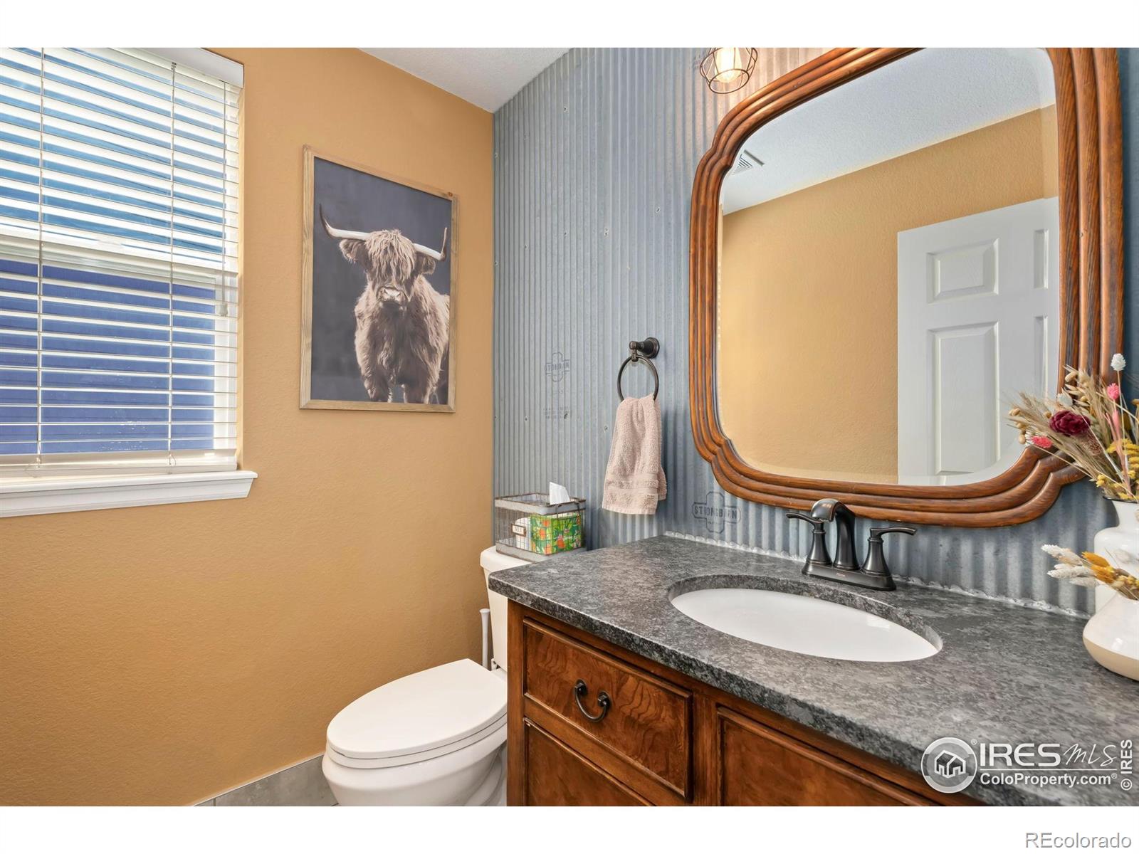 MLS Image #25 for 112  cobble court,windsor, Colorado