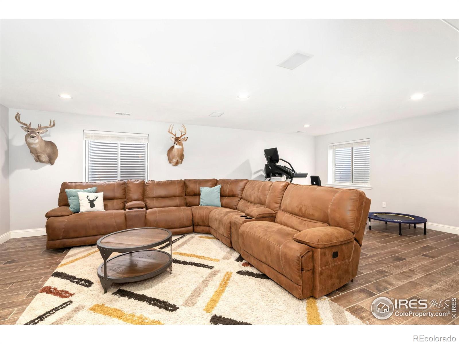 MLS Image #30 for 112  cobble court,windsor, Colorado