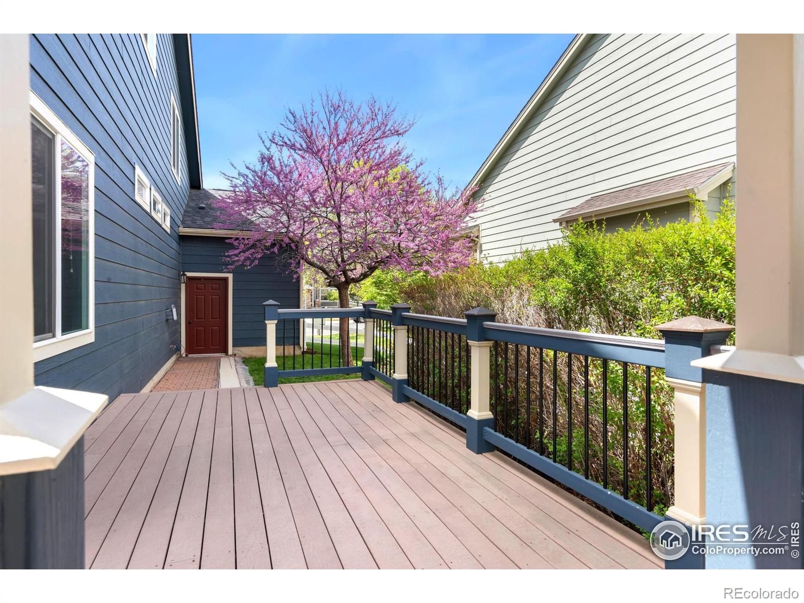MLS Image #33 for 112  cobble court,windsor, Colorado