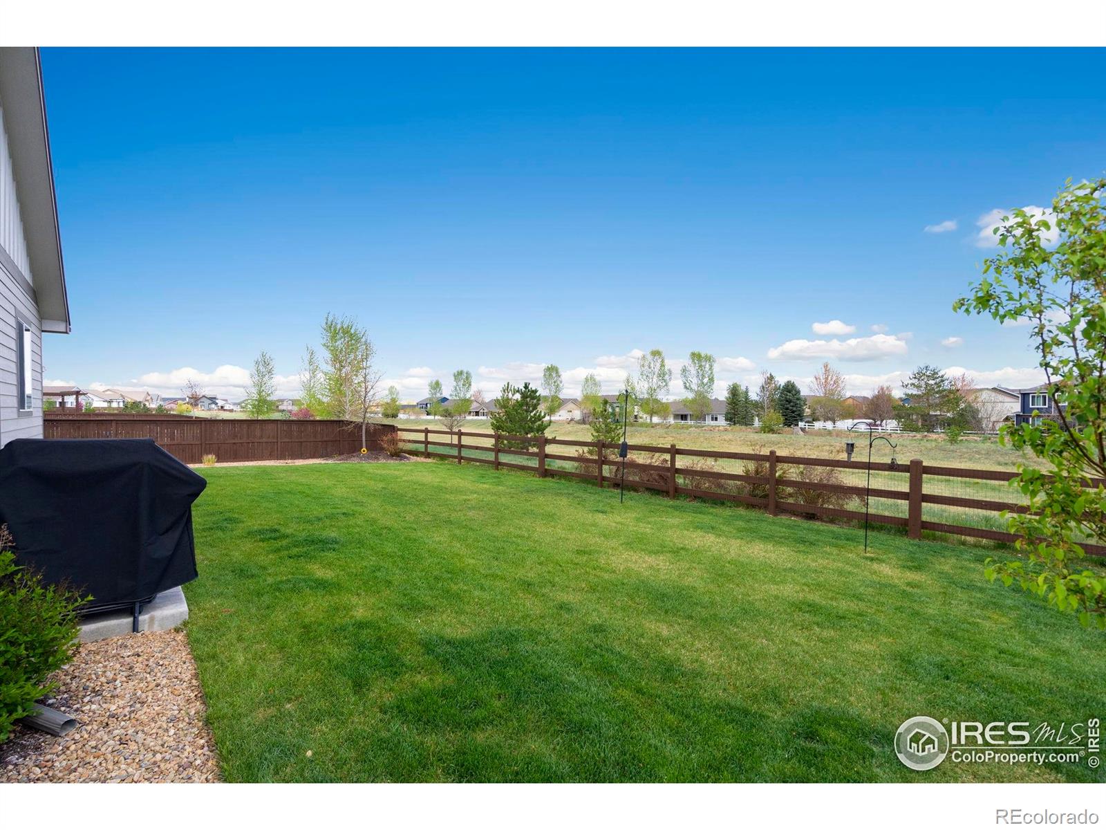 MLS Image #30 for 5116  redmesa avenue,loveland, Colorado