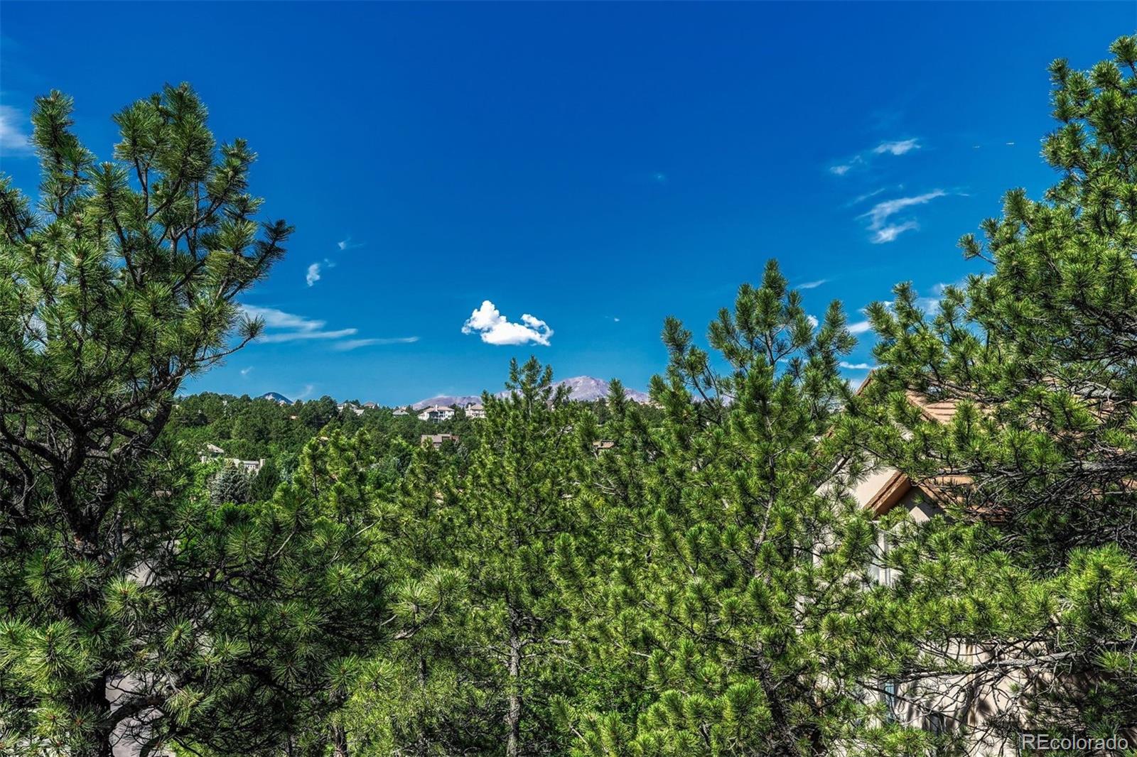 MLS Image #23 for 1135  golden hills road,colorado springs, Colorado