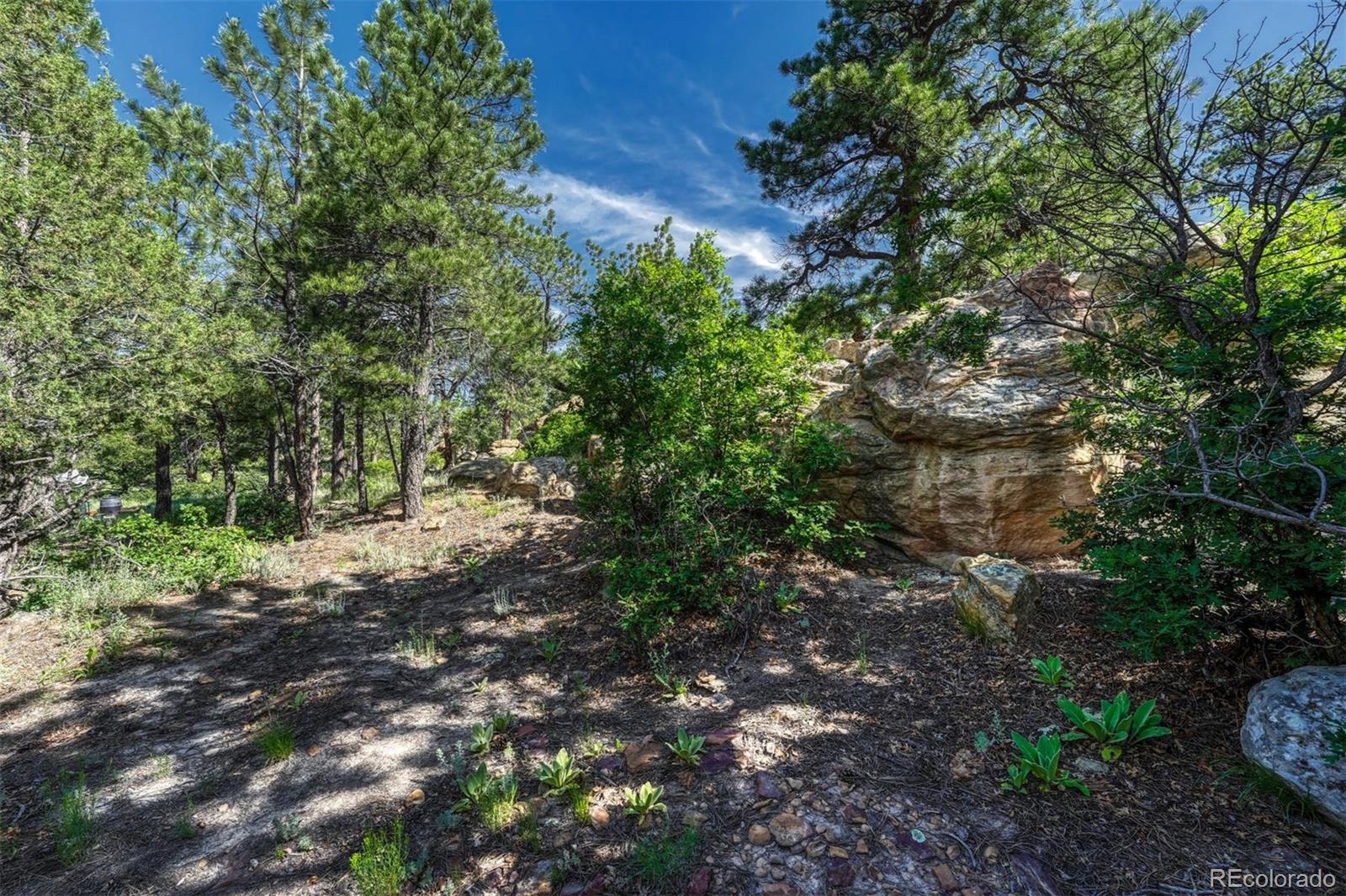 MLS Image #30 for 1135  golden hills road,colorado springs, Colorado