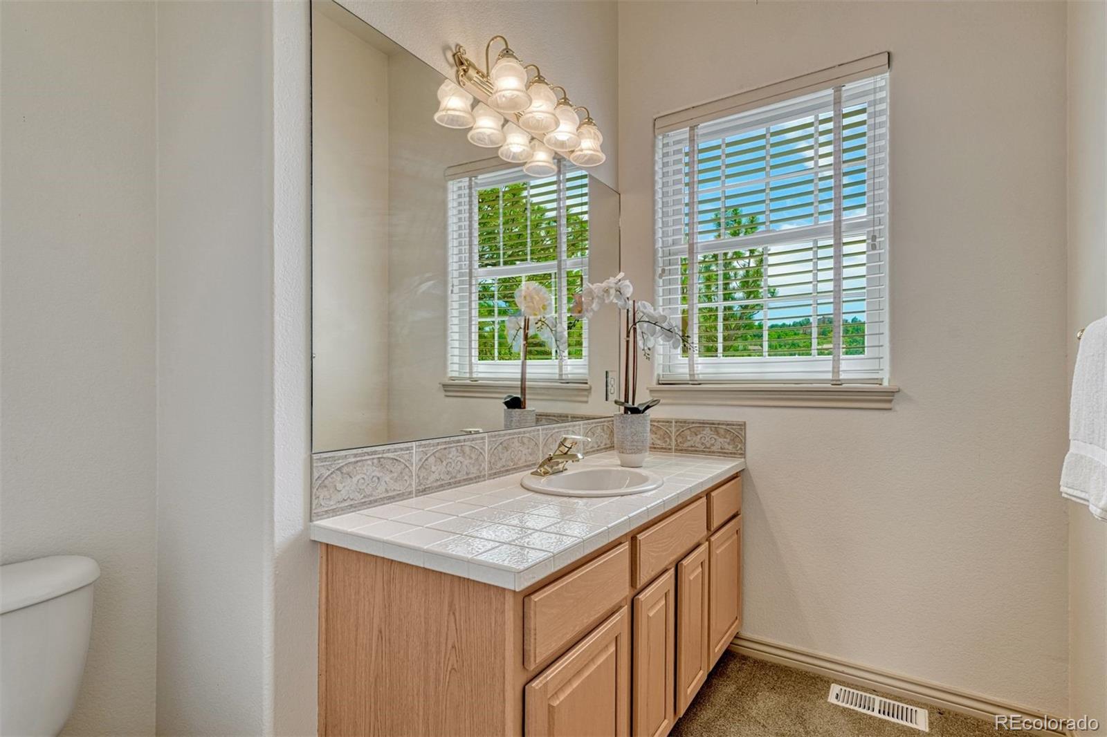 MLS Image #47 for 1135  golden hills road,colorado springs, Colorado