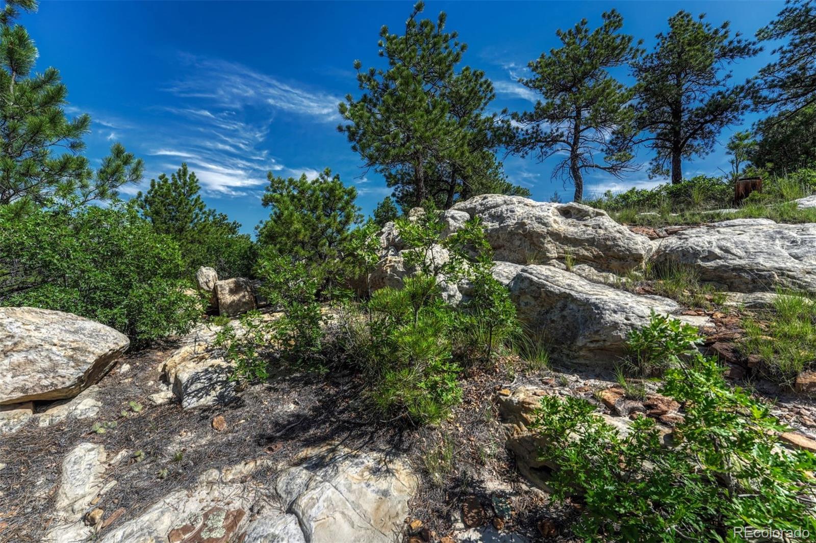MLS Image #7 for 1135  golden hills road,colorado springs, Colorado