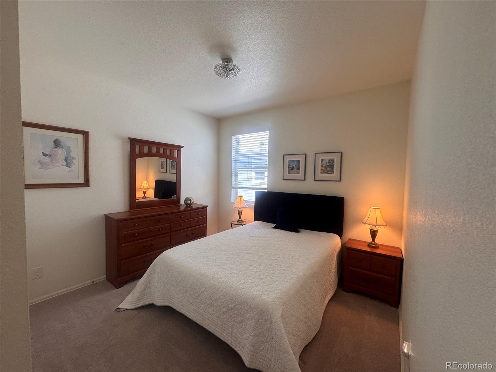 MLS Image #10 for 5741  echo park circle,castle rock, Colorado