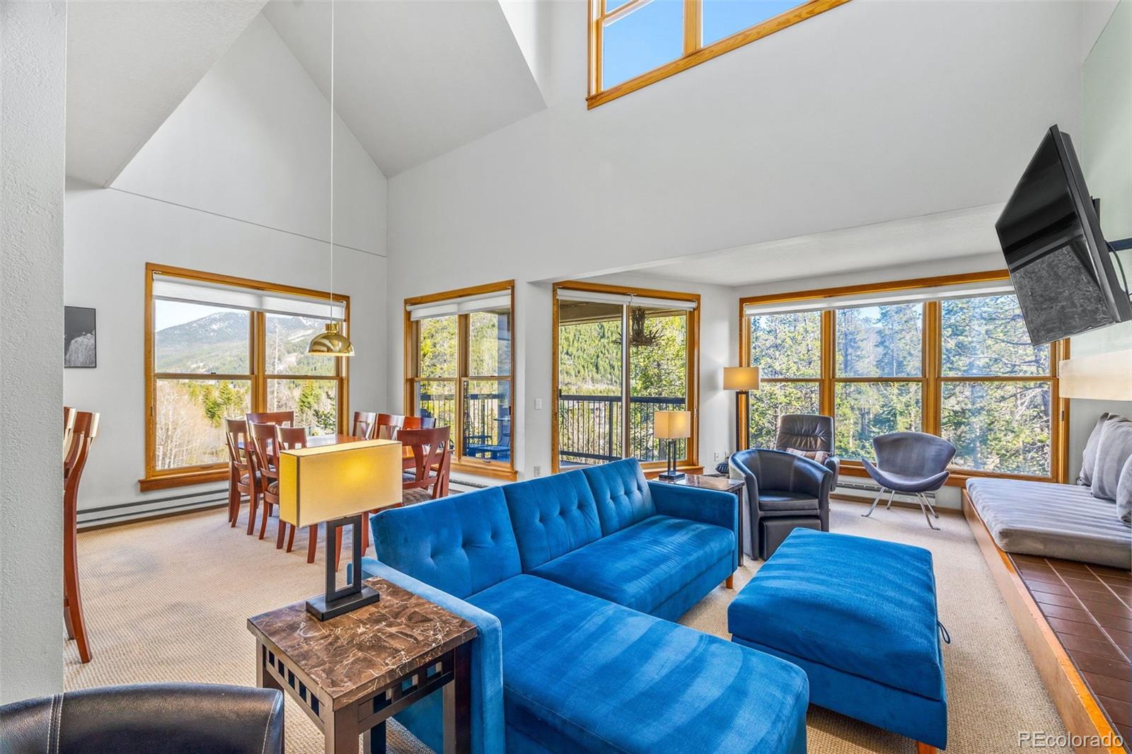 MLS Image #11 for 240  tennis club road,dillon, Colorado