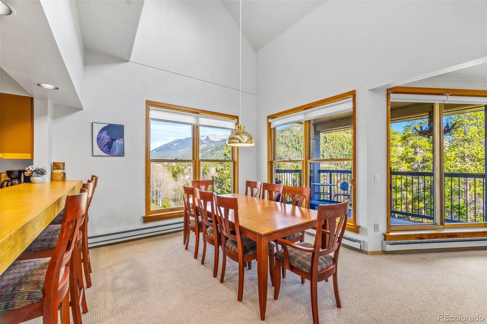 MLS Image #19 for 240  tennis club road,dillon, Colorado